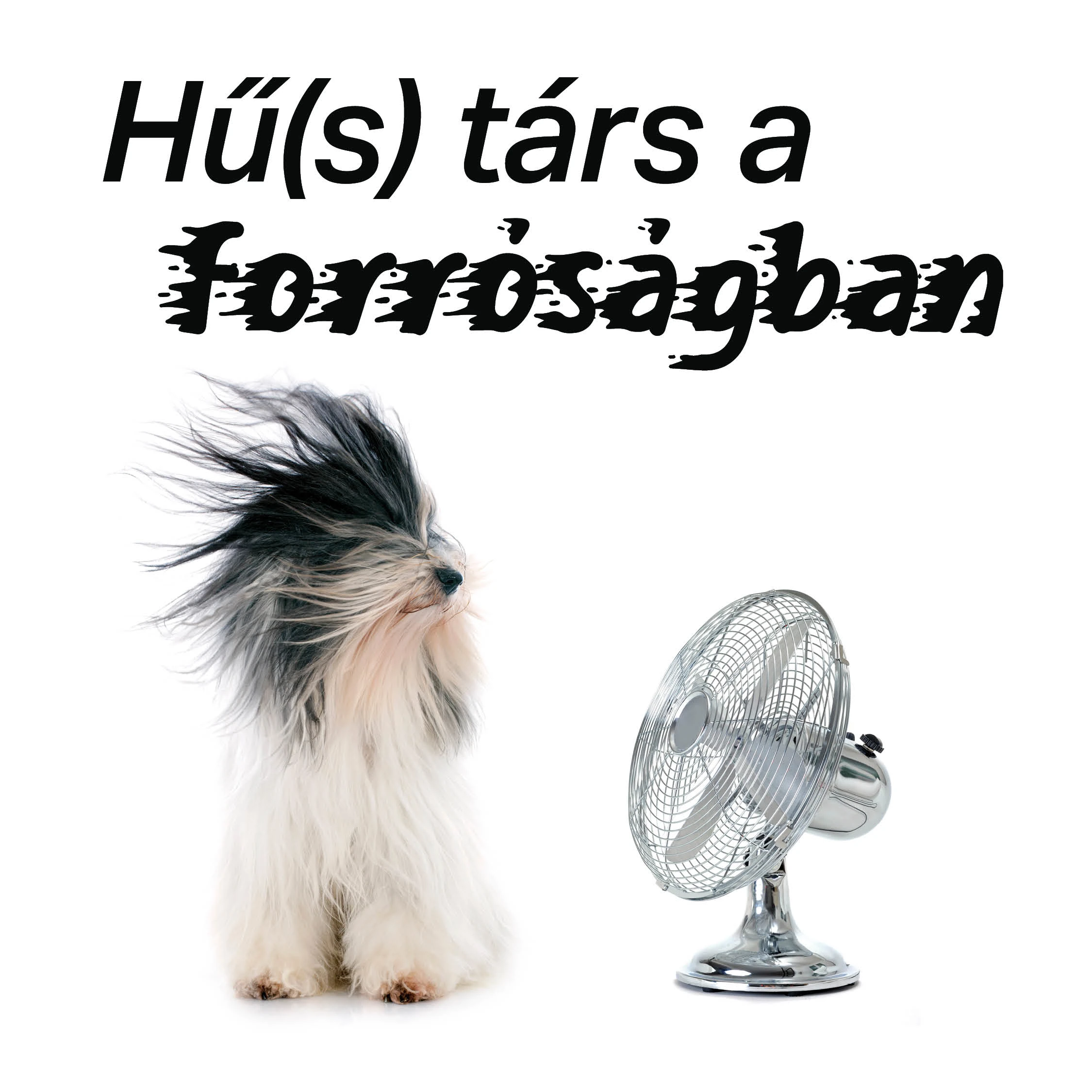 Hűtéstechnika