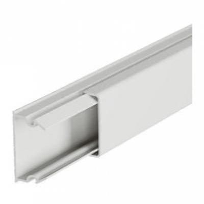 DLP CSAT.  20x 12 VÁLASZF.NÉLK.ECO