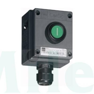 STAHL 8040/1180X-01L50BA05 TOK.NYOMÓ