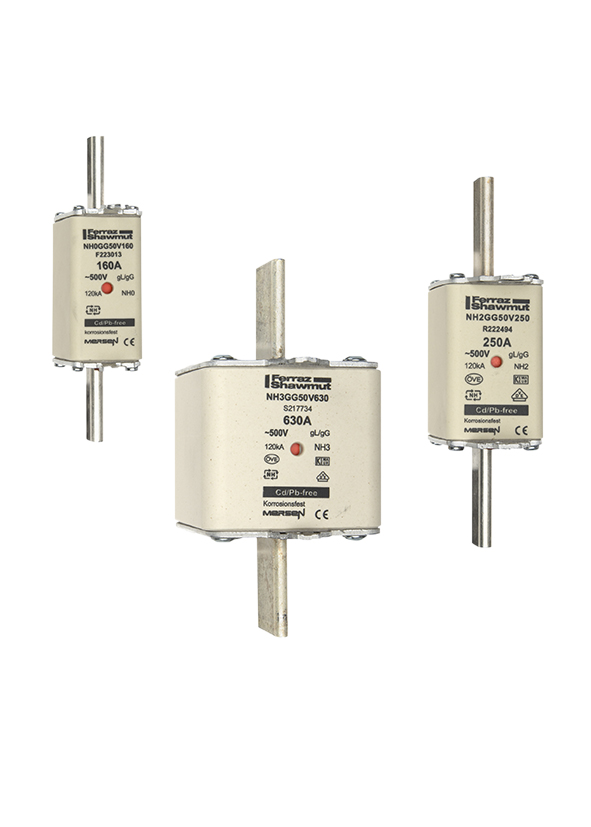 NH-SE/2  500V 315A 