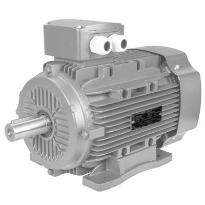 Villanymotor13AA100LB4 3KW 4P.IE2* 13AA100LB4 3KW 4P 100 B3 230/400V