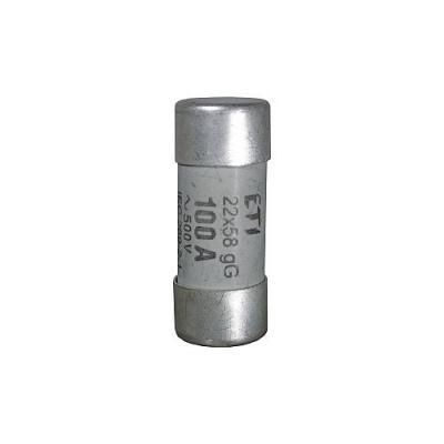 CH 22 25A  BIZT.BETÉT gG 22X58 690V