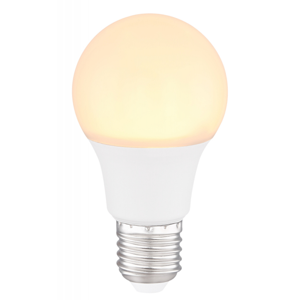 FÉNYFORRÁS LED,  D:60, H:110, INKL.