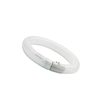 KÖRFÉNYCSŐ 32W T9 G10q 865 CIRCLINE