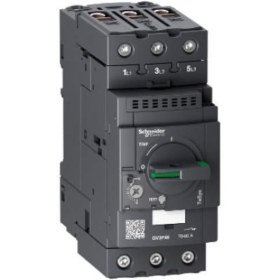 MOTORVÉDŐ GV3P65 70-80A EVERLINK