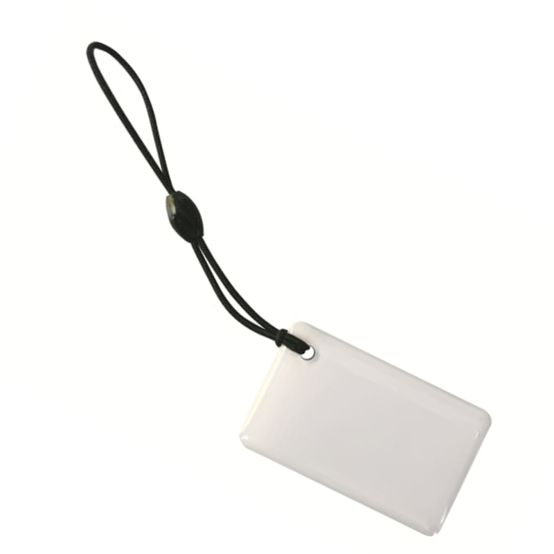 SER-blankRFIDtags RFID-kártyák@