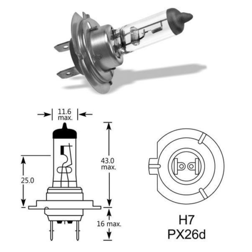 HAAU H7 24V 70W@