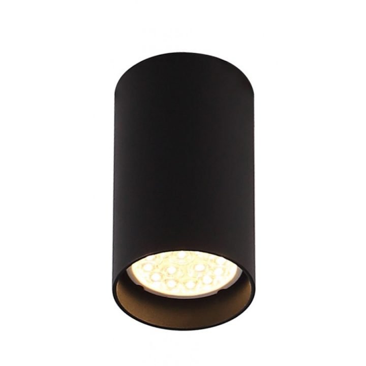 MAXLIGHT PET ROUND NEW mennyezeti