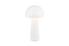 FUNGO LED 2W200lm, CCT, akku+dokkol