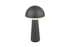 FUNGO LED 2W200lm, CCT, akku+dokkol