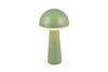 FUNGO LED 2W200lm, CCT, akku+dokkol
