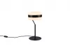 DIOS asztali lp. 1x8W LED1000lm2300