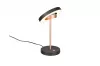 GUANO asztali lp. 1x12W LED 1200lm
