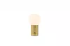 TAURIS asztali lp. 1x2,5W LED250lm3