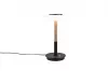 CELESTE asztali lp. 1x10W LED1050Lm