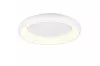 CARDONA mennyezet lp. 1x38W LED4400