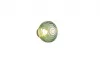 EARL LED falikar 1,5W140lm 3000K -1