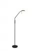 MORENO LED állólp. 3W300lm CCT dokk