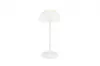 RICARDO LED asztali lp. 1,7W240lm @