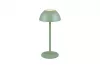 RICARDO LED asztali lp. 1,7W240lm @