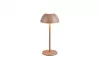 RICARDO LED asztali lp. 1,7W240lm @