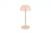 RICARDO LED asztali lp. 1,7W240lm @