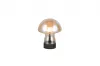 DOOLEY LED asztali lp. 1,5W140lm 30