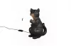 GATIO asztali lp. excl.1xG95W |30cm