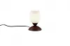 CUP II asztali lp. excl.1xE14 |18cm@