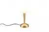 CANARIA asztali lp. 1x E14, 5W-LED@