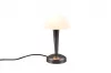 CANARIA asztali lp. 1x E14, 5W-LED@