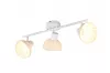 CALVI spotlp. excl.3xE1410W |21cm -