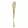Szárazvirág 90cm natúr Guipos@