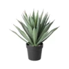 Agávé cserépben 36,5cm zöld Tobetsu@