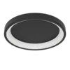 LORETELLO-Z LEDRGB/CCT WL/DL O350 S