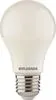 LED E27 normál 9,5W 6500K