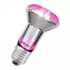 LED E27 R63 7,5W NÖVÉNYNEVELŐ LED Star Grow Lamp Filament 100°