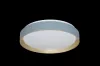 LIATRIS2,BELT.MENNY. LED24W, D38,5C@ LED 24W