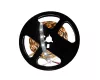 LED szalag 6500K 4,8W/m*