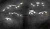 CLAPTON spotlp. 3x4,3W LED430Lm3000