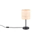 AIMEE asztali lp. excl.1xE2710W |37