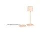 FERNANDEZ LED 1,5W130lm CCT, akku+d