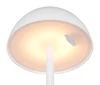 RICARDO LED asztali lp. 1,7W240lm @