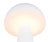 FUNGO LED 2W200lm, CCT, akku+dokkol