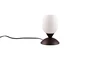 CUP II asztali lp. excl.1xE14 |18cm@