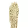 Szárazvirág 90cm natúr Guipos@