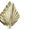 Szárazvirág 42cm arany szín Ignace@