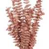Leveles bokor ág 50cm korall Gannan@