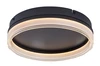 Seraphiel menny.18W 3000-6500K D330@
