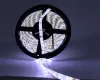 LED szalag 60LED IP65 6500K 4,8W/m*
